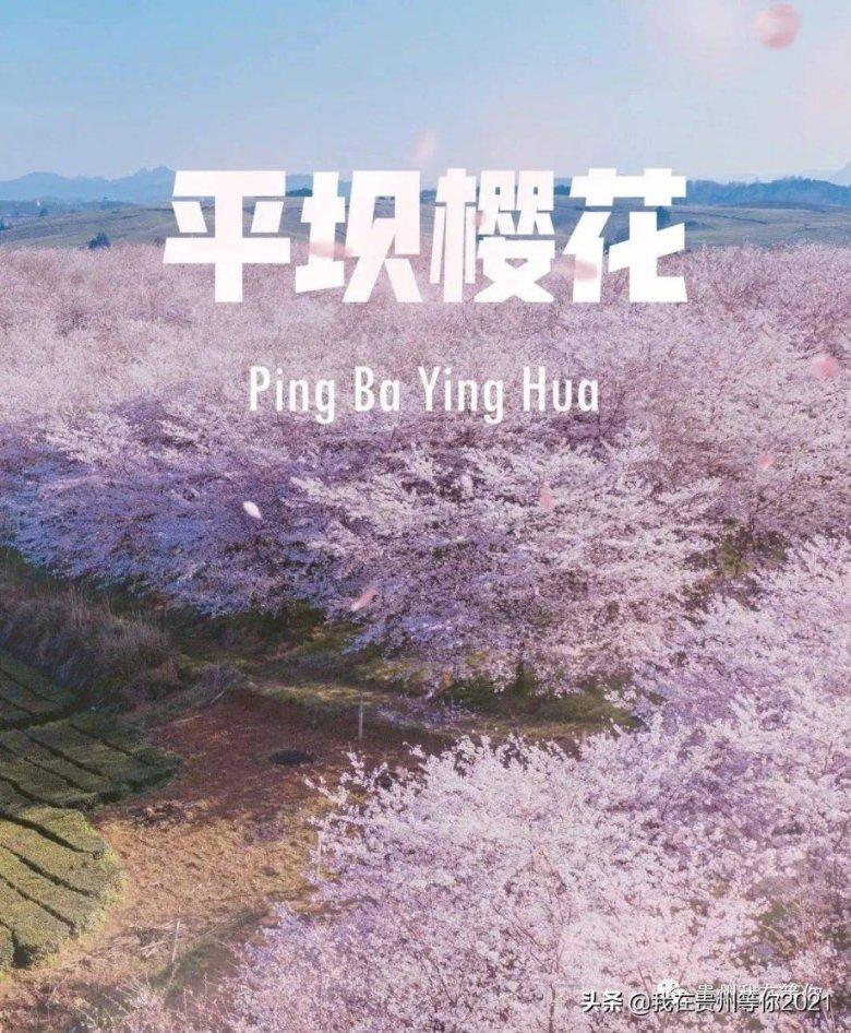 神圣的石像